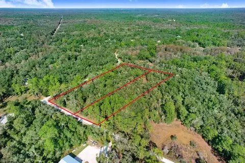 7292 Sonia Ave, Webster, FL 33597 photo 10