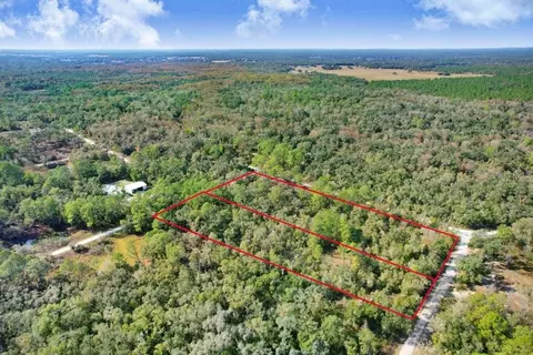 7292 Sonia Ave, Webster, FL 33597 photo 4