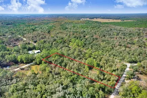 7292 Sonia Ave, Webster, FL 33597 photo 3