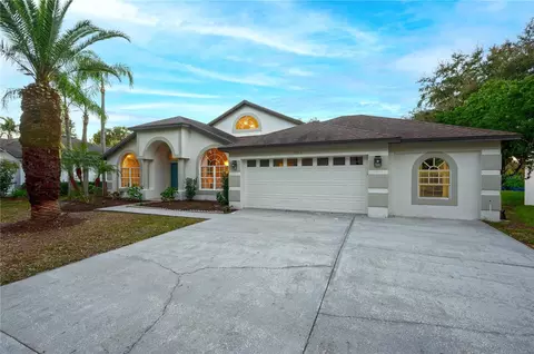 15014 Arbor Hollow Dr, Odessa, FL 33556