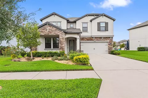 31046 Parrot Reef Ct, Wesley Chapel, FL 33545