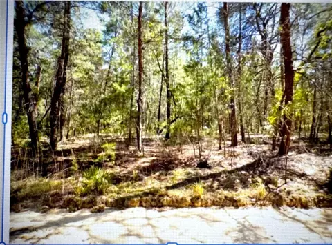 Old Bellamy Trail, Melrose, FL 32666