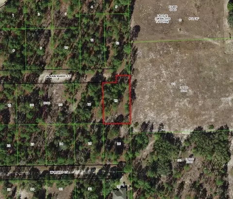 6020 W Ann Marie Ct, Dunnellon, FL 34433