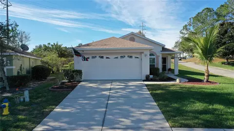 3021 Banyan Hill Ln, Land O Lakes, FL 34639