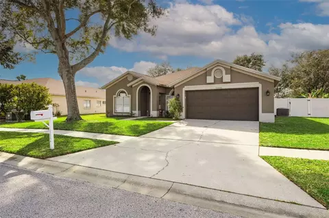 22536 Magnolia Trace Blvd, Lutz, FL 33549