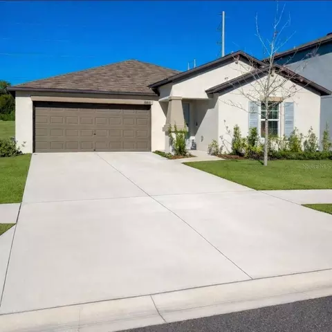 10316 Shady Preserve Dr, Riverview, FL 33578