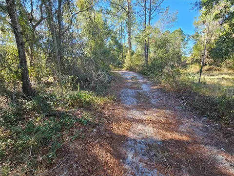 Berryhill Drive, Webster, FL 33597 photo 12