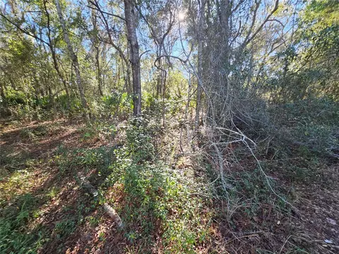 Berryhill Drive, Webster, FL 33597 photo 11