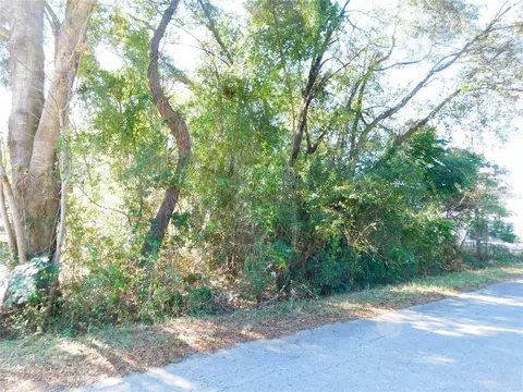 Se 135th Lane, Belleview, FL 34420