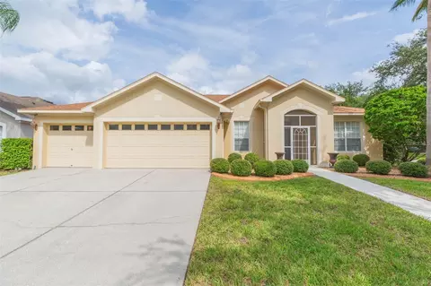 10914 Wildcat Dr, Riverview, FL 33579