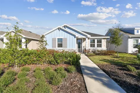 28748 Rambutan Dr, Wesley Chapel, FL 33543