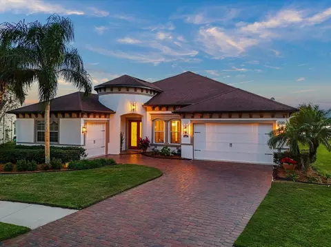 11427 Lake Lucaya Dr, Riverview, FL 33579