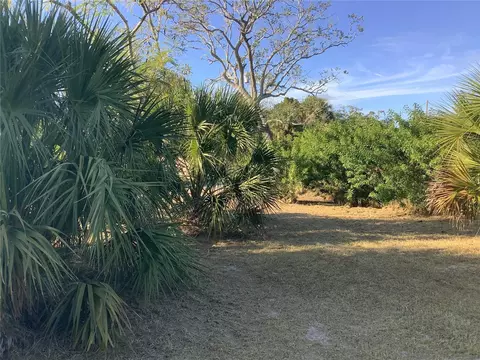 14144 Pine St, Hudson, FL 34667 photo 6