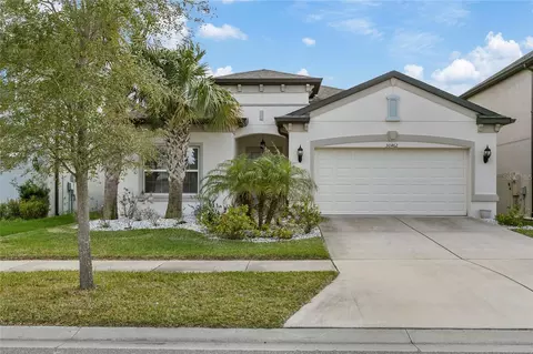 30462 Caravelle Ln, Wesley Chapel, FL 33545