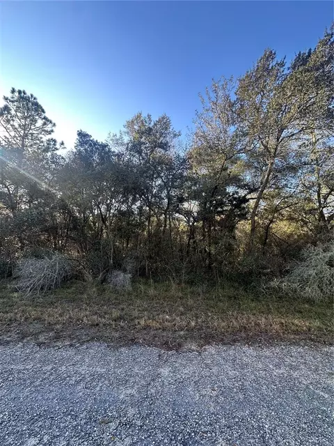 3908 W Tropic Ln, Dunnellon, FL 34433