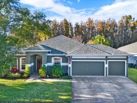 28701 Falling Leaves Way, Wesley Chapel, FL 33543