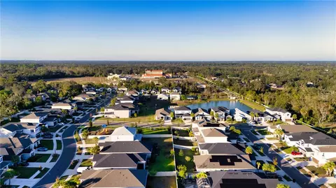 View/Area - 10551 Tranquil Meadow Loop, Riverview, FL 33569 photo 8 of 11