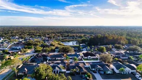 View/Area - 10551 Tranquil Meadow Loop, Riverview, FL 33569 photo 10 of 11