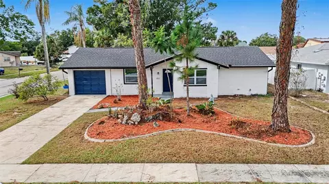 6802 Chippendale Ct, Tampa, FL 33634