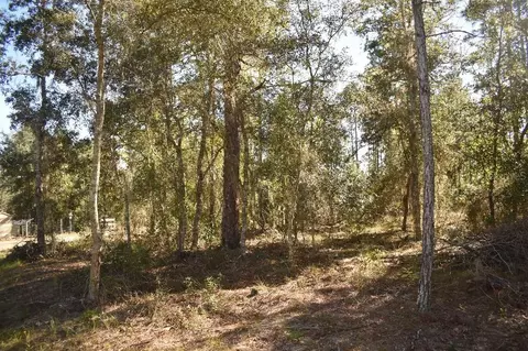 13230 NE 9th St, Williston, FL 32696 photo 56
