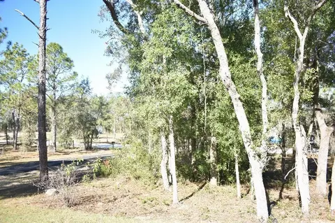 13230 NE 9th St, Williston, FL 32696 photo 47