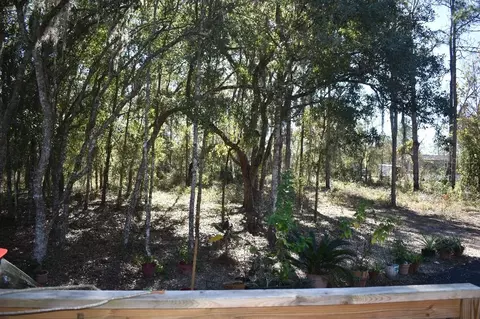 13230 NE 9th St, Williston, FL 32696 photo 35