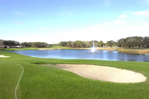 View/Area - 2113 Springmeadow Dr, Spring Hill, FL 34606 photo 4 of 6