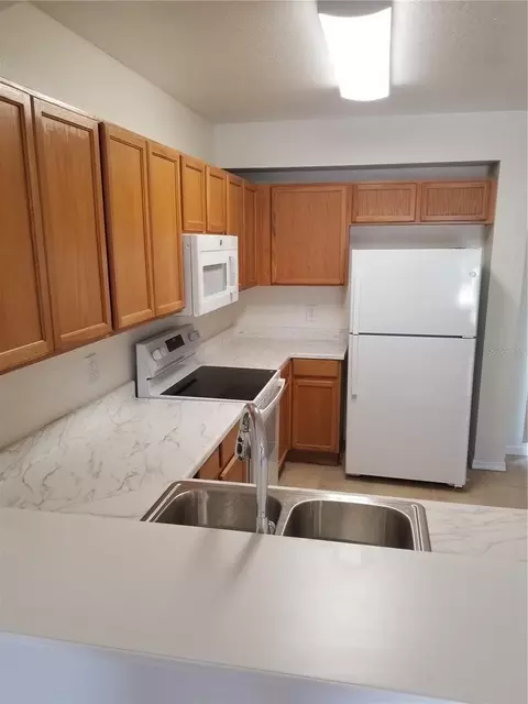 Kitchen - 6116 Olivedale Dr, Riverview, FL 33578 photo 3 of 4