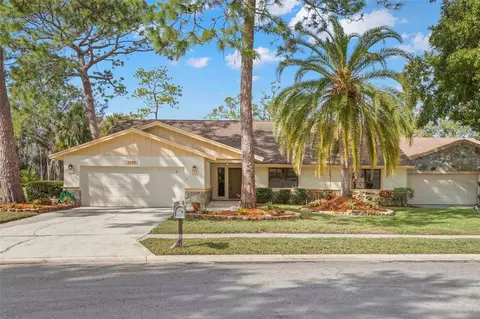 3006 Bolt Dr, Palm Harbor, FL 34685