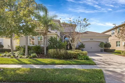 30552 Ivy Forge Ct, Wesley Chapel, FL 33543