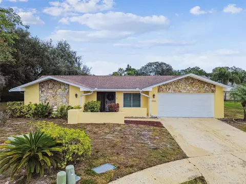 3545 Snowy Egret Ct, Palm Harbor, FL 34683