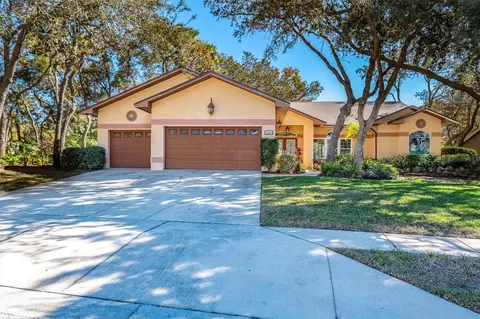 4589 Glenbrook Cir, Palm Harbor, FL 34683