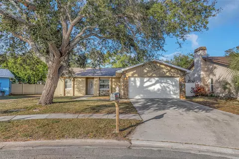 224 Whisper Lake Rd, Palm Harbor, FL 34683