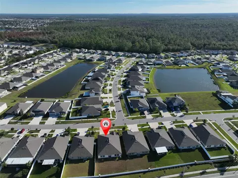 View/Area - 13575 Willow Bluestar Loop, Riverview, FL 33579 photo 2 of 2