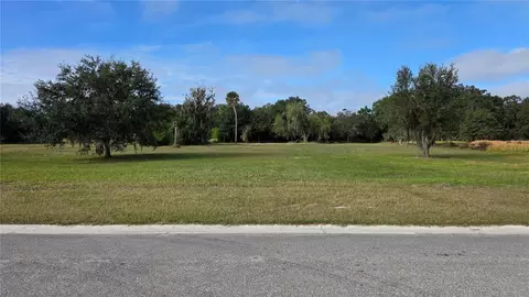 15311 Fishhawk Heights Run, Lithia, FL 33547
