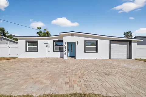 10709 Dowry Ave, Tampa, FL 33615