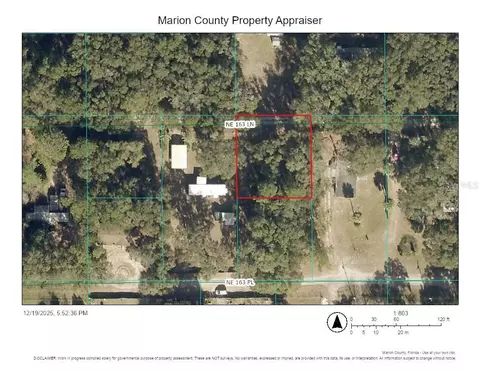 000 NE 163rd Ln, Citra, FL 32113