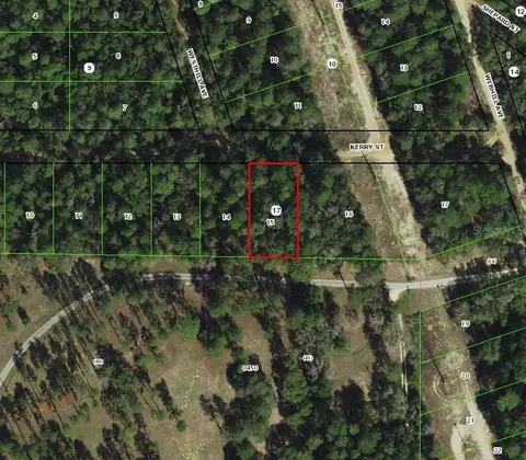 2711 Kerry St, Inverness, FL 34452