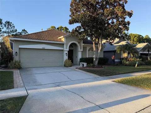 12507 Blazing Star Dr, Tampa, FL 33626
