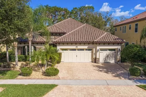 2833 Calvano Dr, Land O Lakes, FL 34639