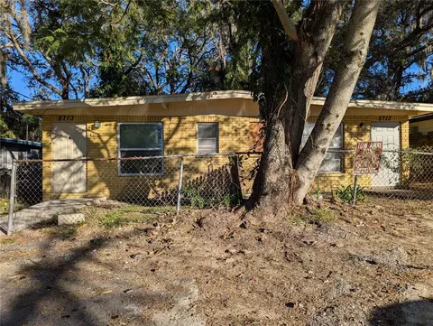 8713 N Mandarine Pl, Tampa, FL 33617