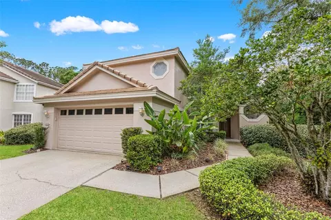 17716 Nathans Dr, Tampa, FL 33647