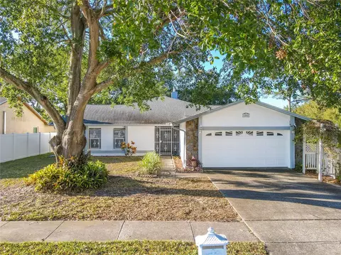 6808 Seafairer Dr, Tampa, FL 33615