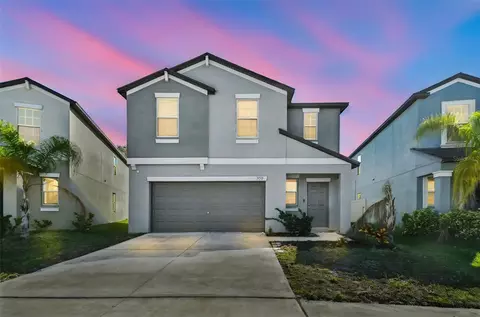 5157 White Chicory Dr, Apollo Beach, FL 33572