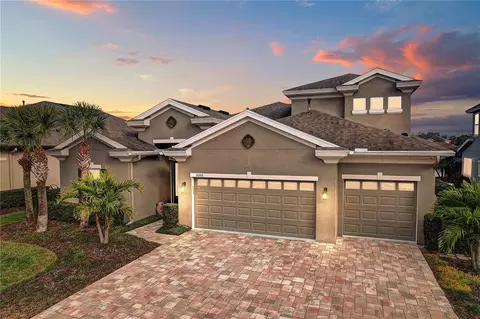 8206 Water Color Dr, Land O Lakes, FL 34638