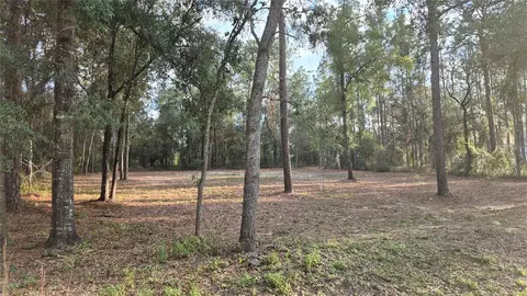 6334 Little Lake Geneva Rd, Keystone Heights, FL 32656