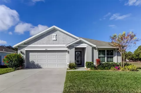 1905 Blue Stream St, Ruskin, FL 33570
