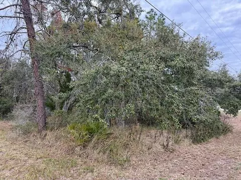 10439 Gypsy Ave, Weeki Wachee, FL 34613