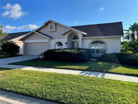 11418 Glenmont Dr, Tampa, FL 33635