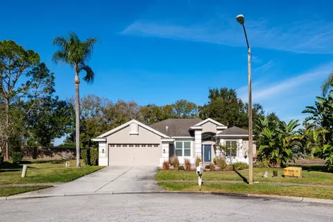 438 Equine Dr, Tarpon Springs, FL 34688